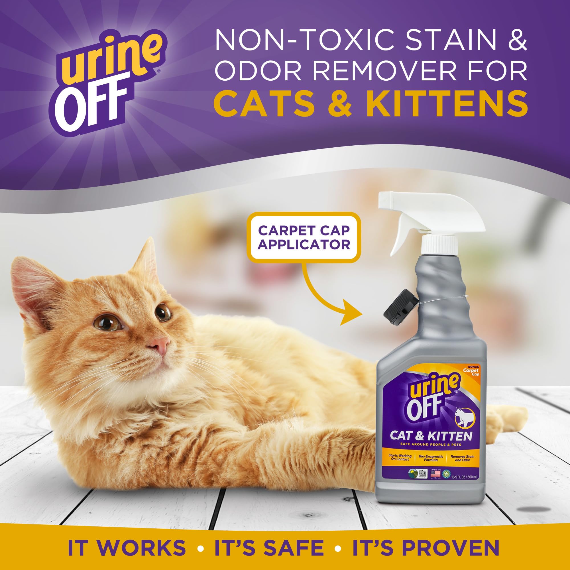 Aplicación de enzimas urineOFF para eliminar manchas de orina de gato