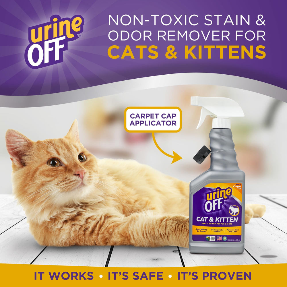 Aplicación de enzimas urineOFF para eliminar manchas de orina de gato