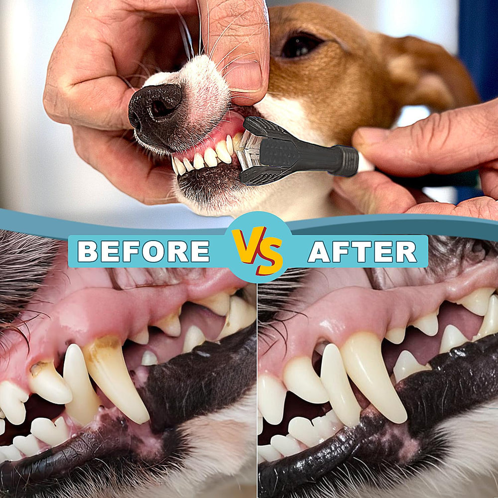 URMYONLY cepillo dental de dos cabezas para perros y gatos