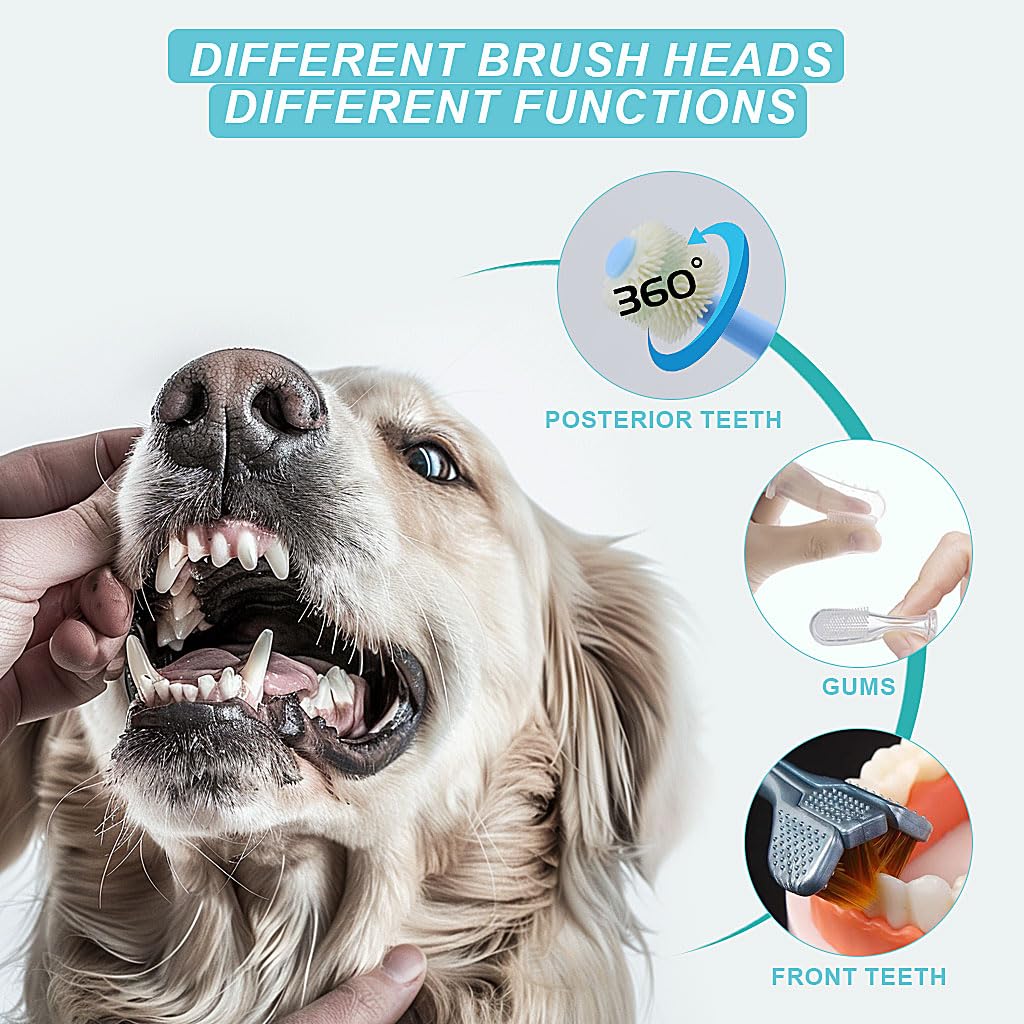 URMYONLY kit dental para mascotas, 12 piezas completas