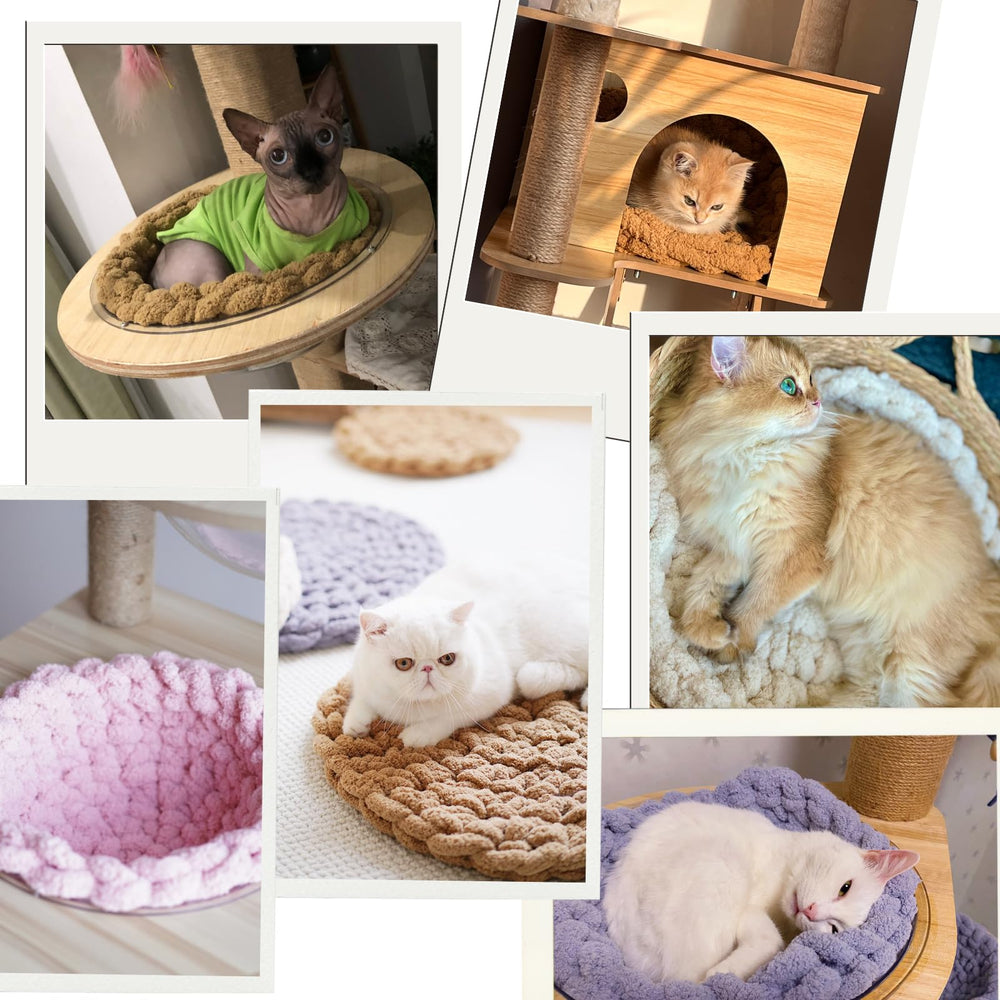 Urnat cama acolchada para gatos, diseño suave y cómodo para dormir.