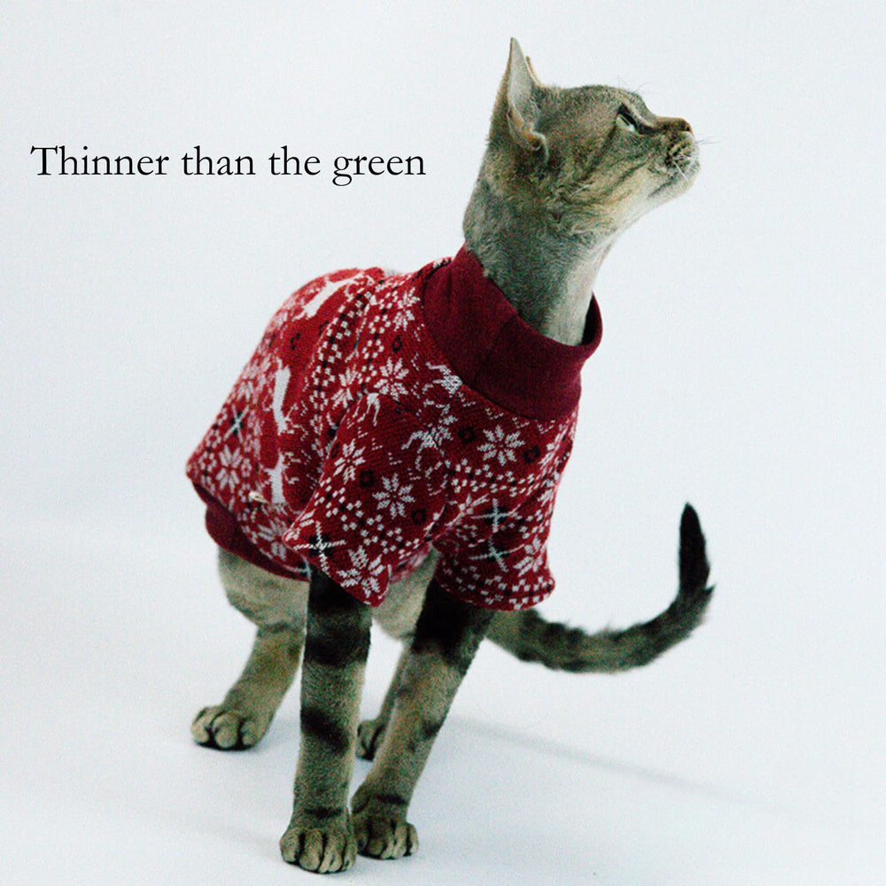 Gato usando la sudadera Urnat en invierno, sensación cálida diaria.