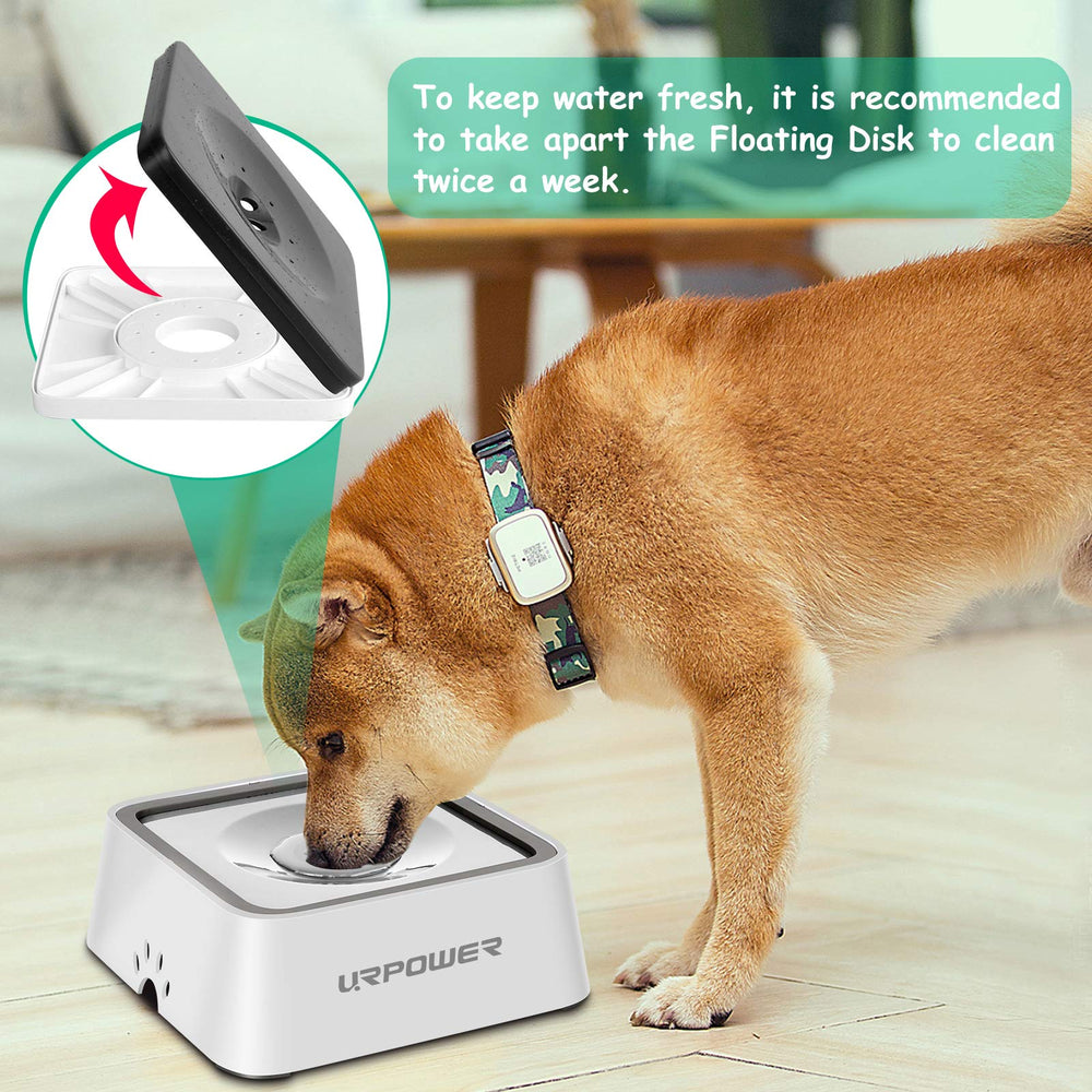 URPOWER bebedero apto para coche y viaje, ideal para mascotas en movimiento.