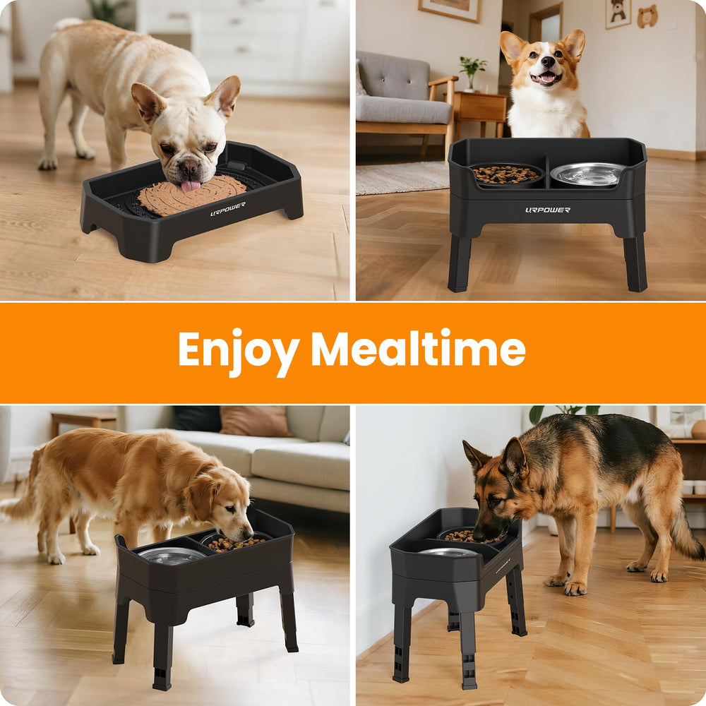 URPOWER conjunto versátil para cachorros y perros adultos.