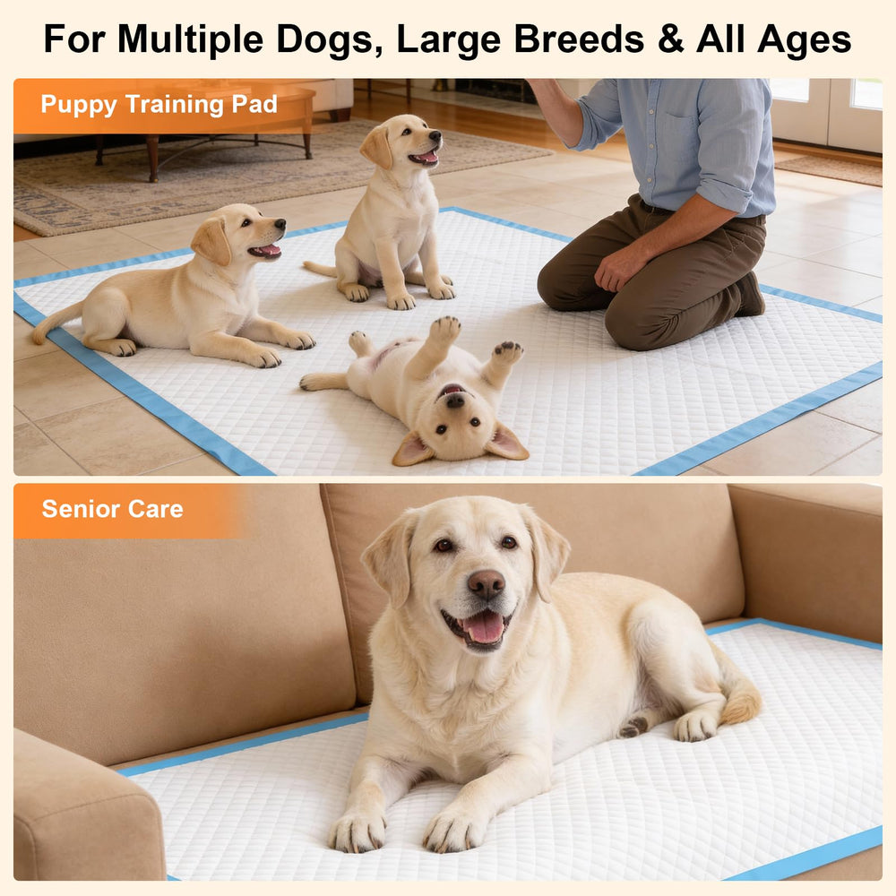 URPOWER paquete de 40 almohadillas para entrenamiento y viaje de mascotas.