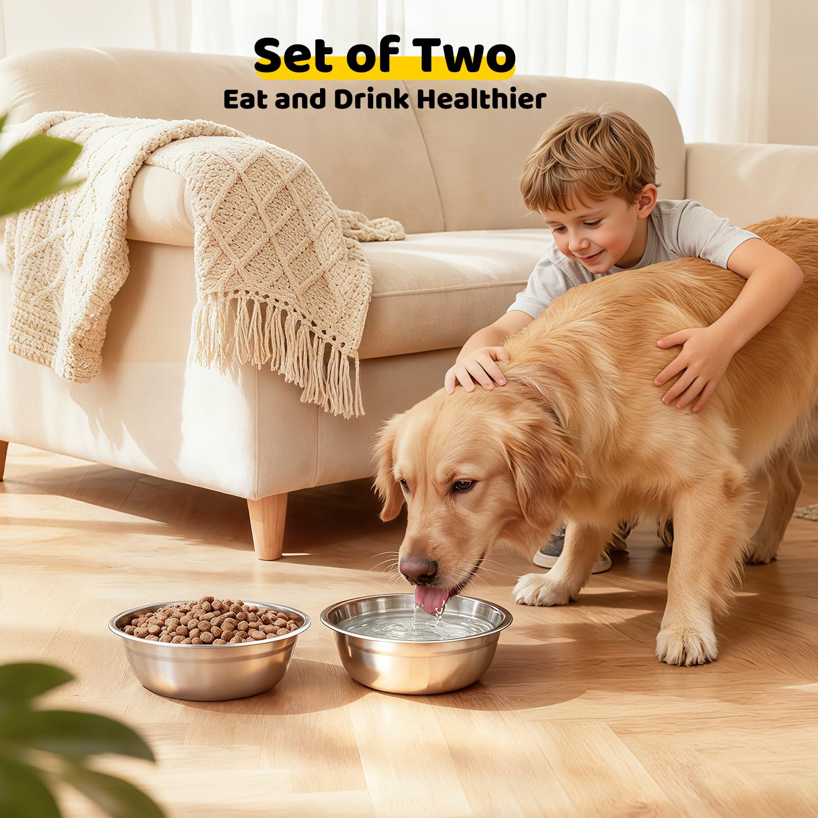URPOWER juego de comida y agua separados para perros.