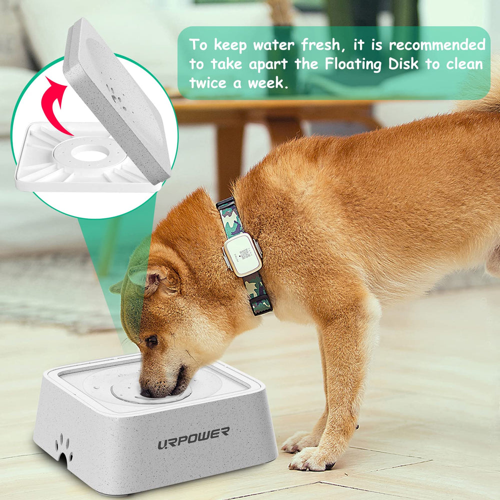 URPOWER uso-viaje-tazon-agua-vehiculo ideal para viajes con perros y gatos.