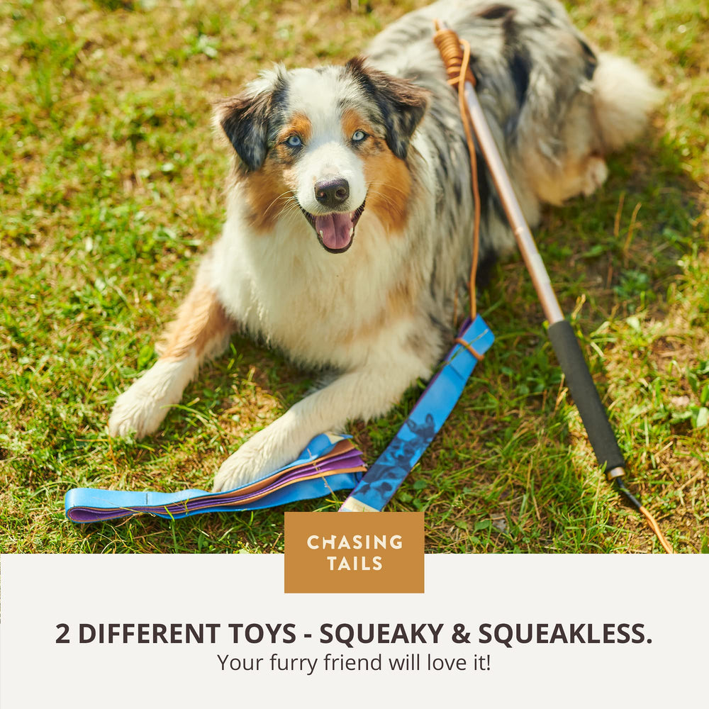 Diseño para perros pequeños y medianos, juego activo al aire libre