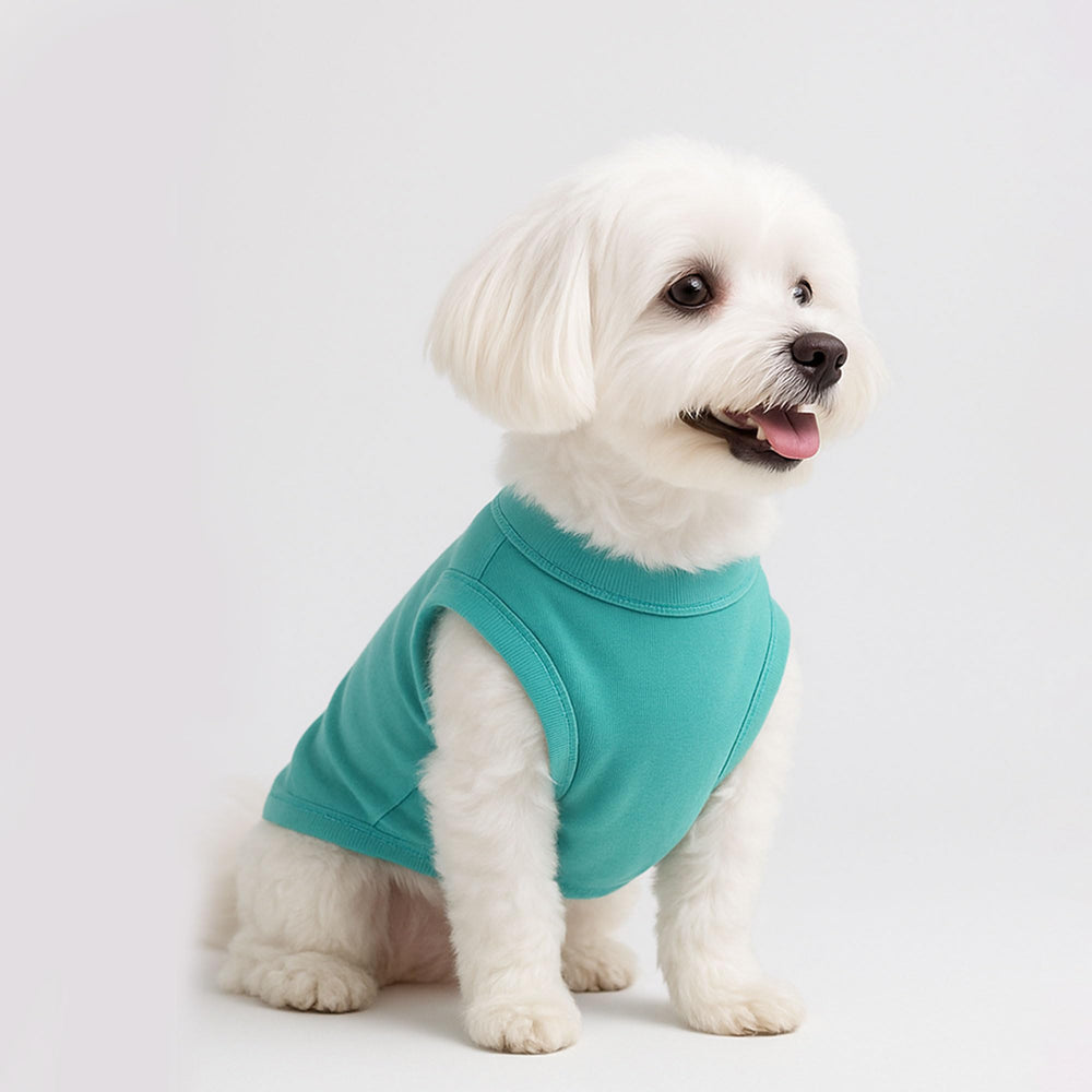 Prenda Uswalnna color purpura para perros, look moderno