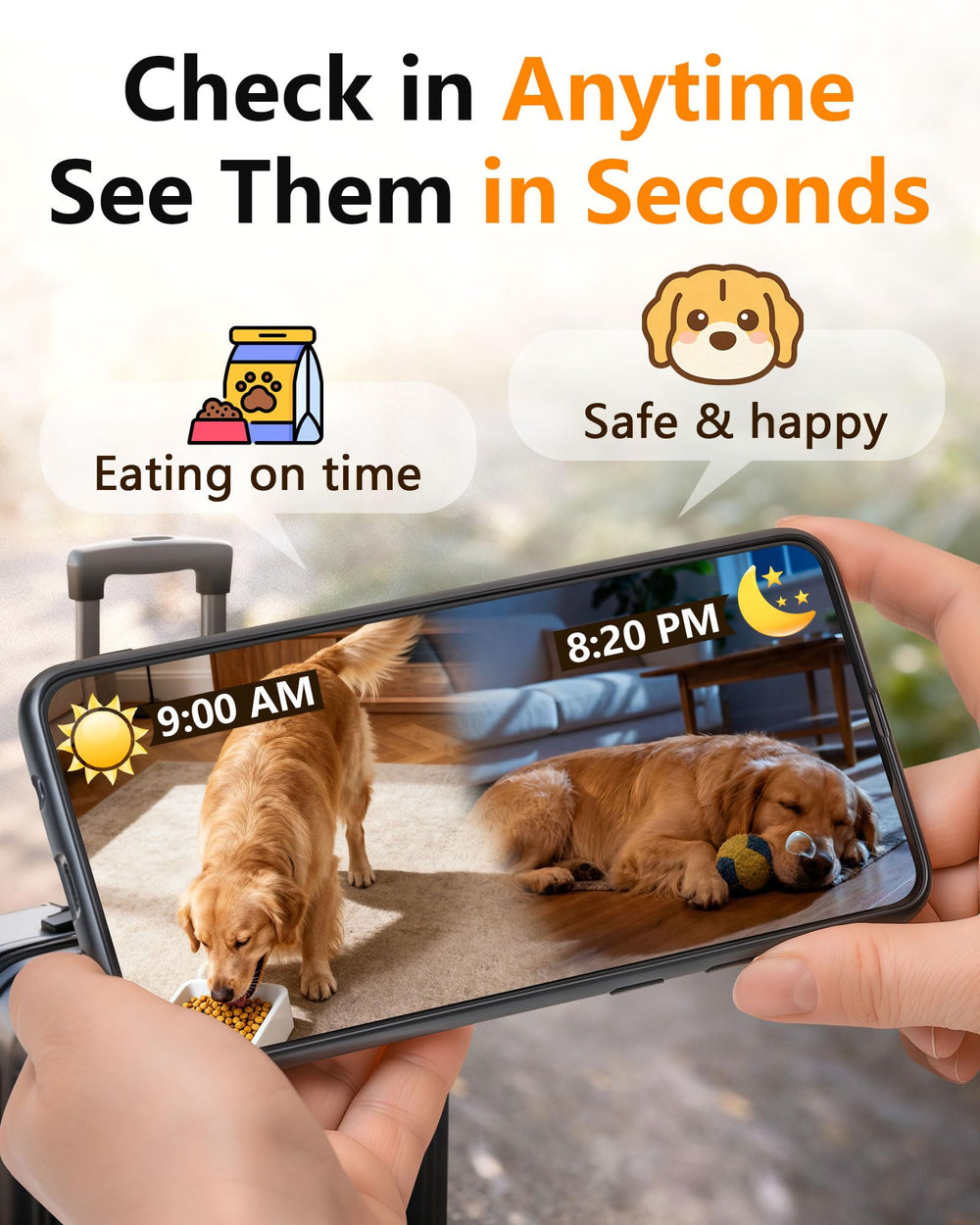 UTCG alimentador automatico grandes razas, cámara HD integrada, vigila a tu mascota en tiempo real.