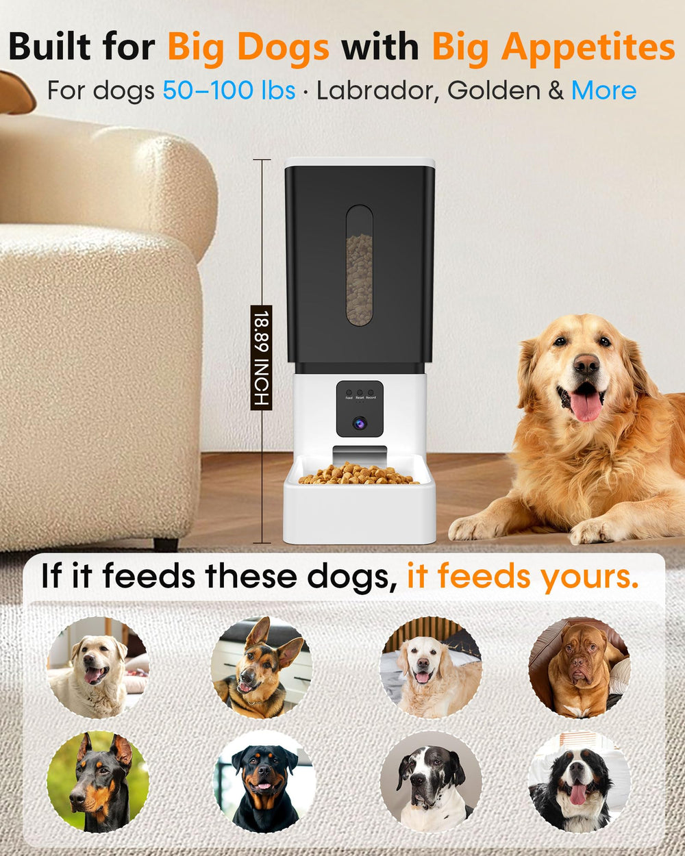 UTCG alimentador automatico grandes razas, ideal para dos perros, con distribución de porciones precisa.