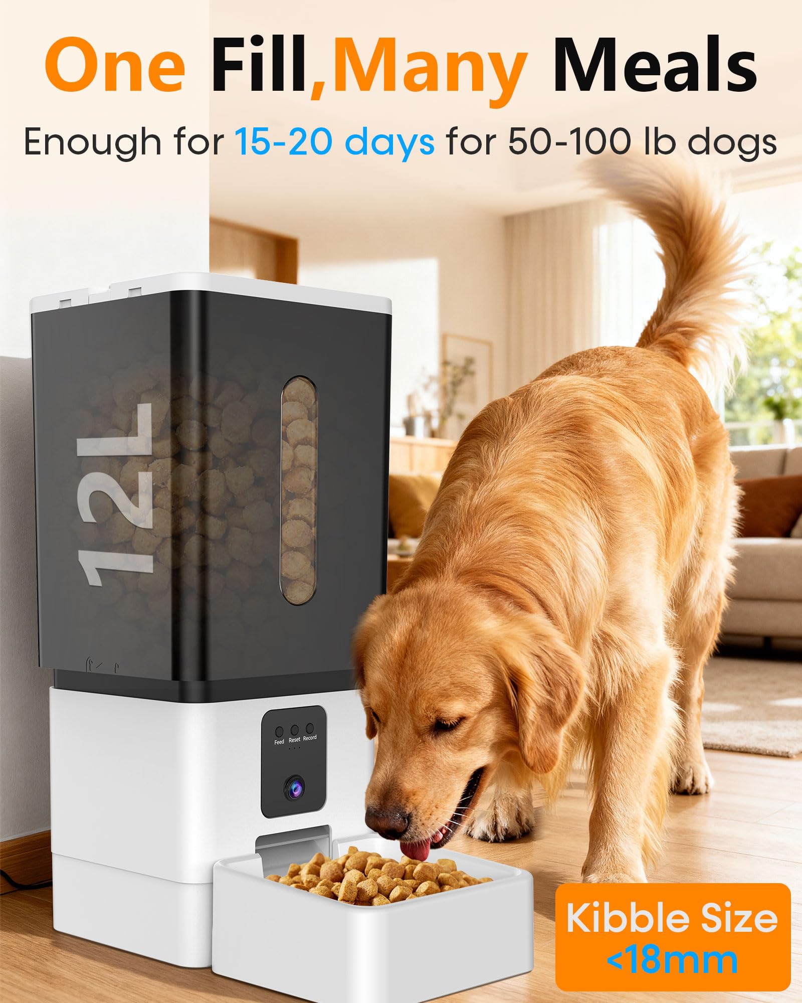 UTCG alimentador automatico grandes razas, salida amplia, reduce atascos con croquetas grandes.