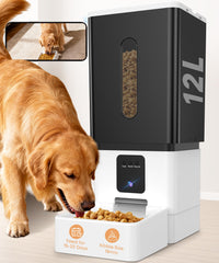 UTCG alimentador automatico grandes razas, vista frontal, solución para horario de comida programado.