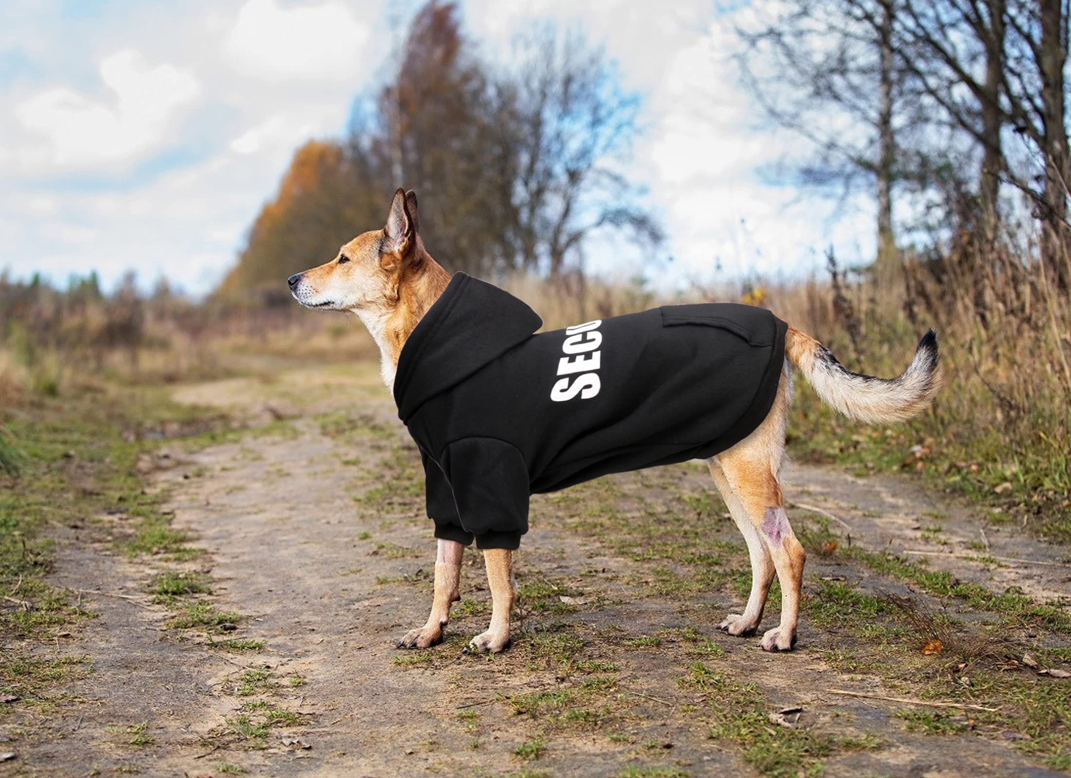 Uteuvili ofrece tallas XS a XXL para diferentes razas de perros.