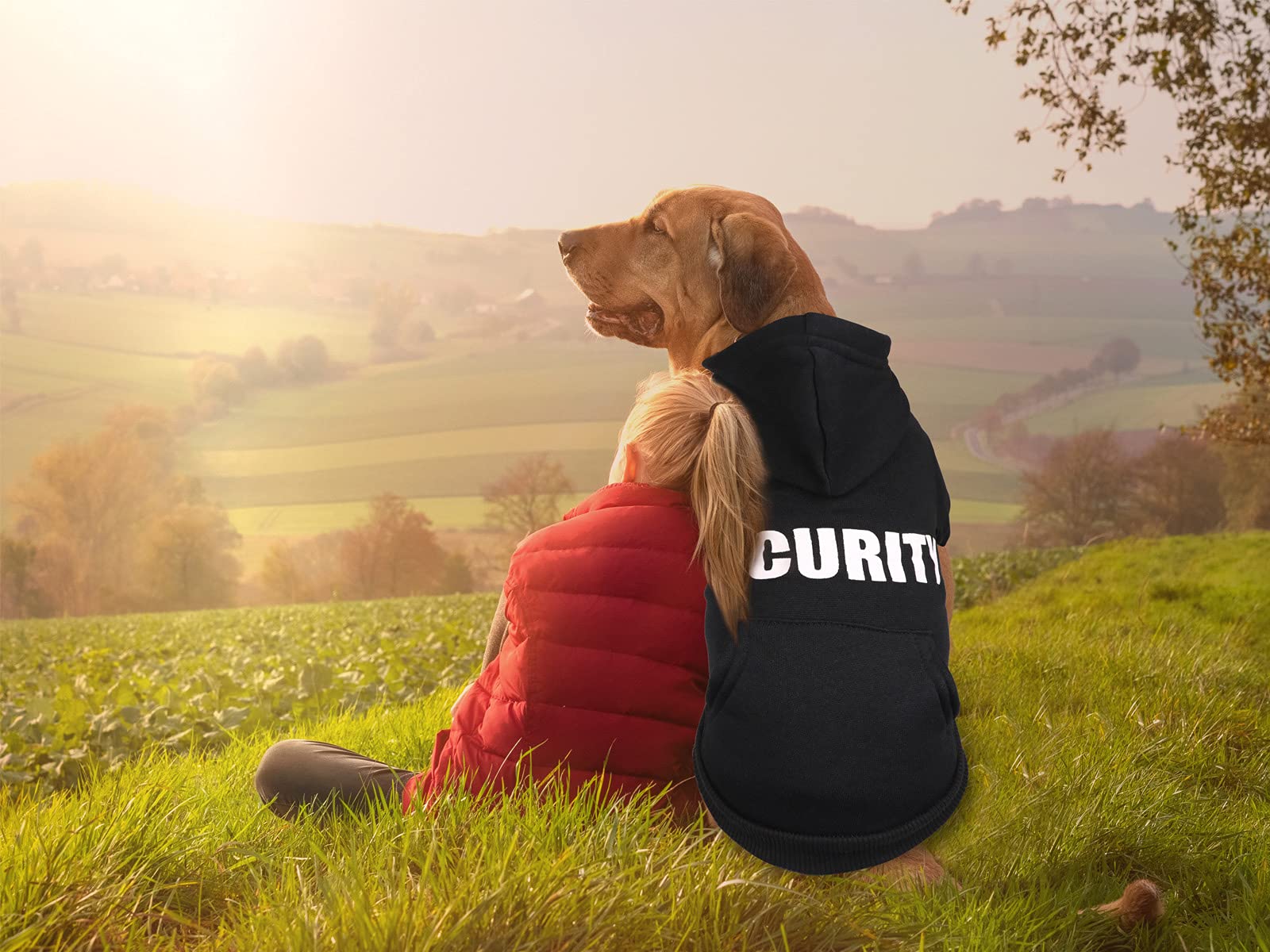 Uteuvili sudadera-perro-xl-imprimir-seguridad-trasera: visibilidad mejorada al caminar.