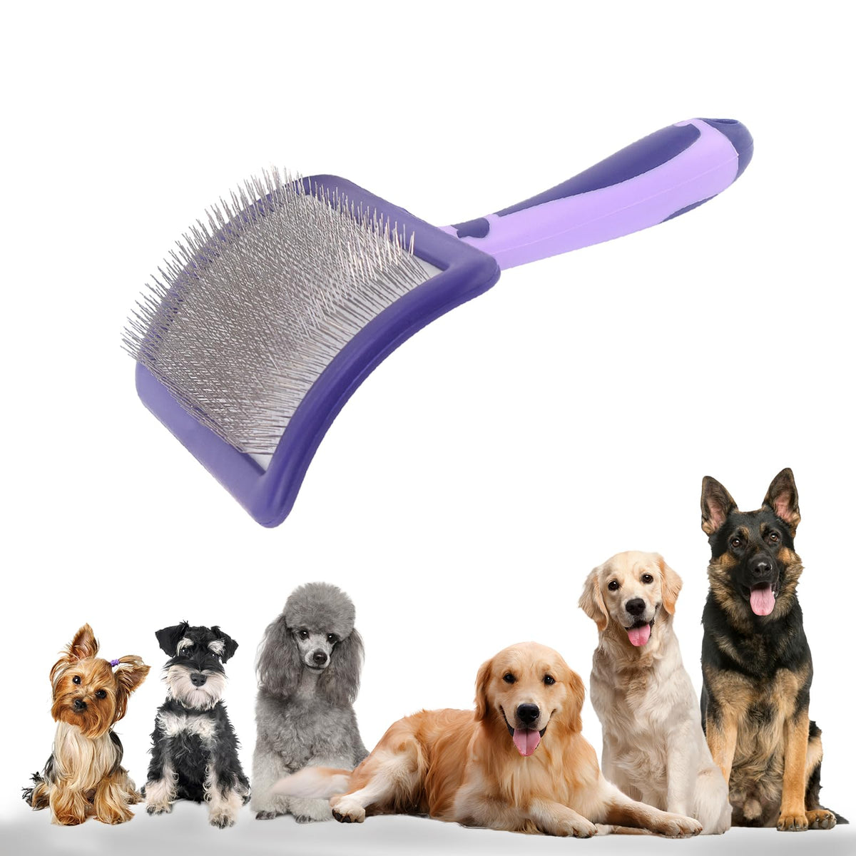 UXIETIN cepillo para perros caniche: desenreda sin irritar la piel
