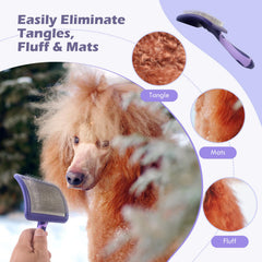 UXIETIN cepillo para perros pelo rizado: cerdas suaves para un cepillado cómodo