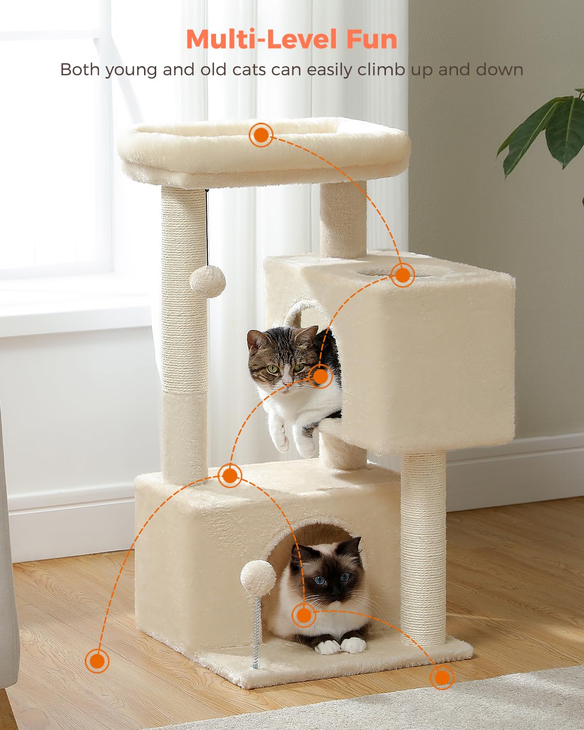 UYMI Ideal para hogares con dos o tres felinos para compartir