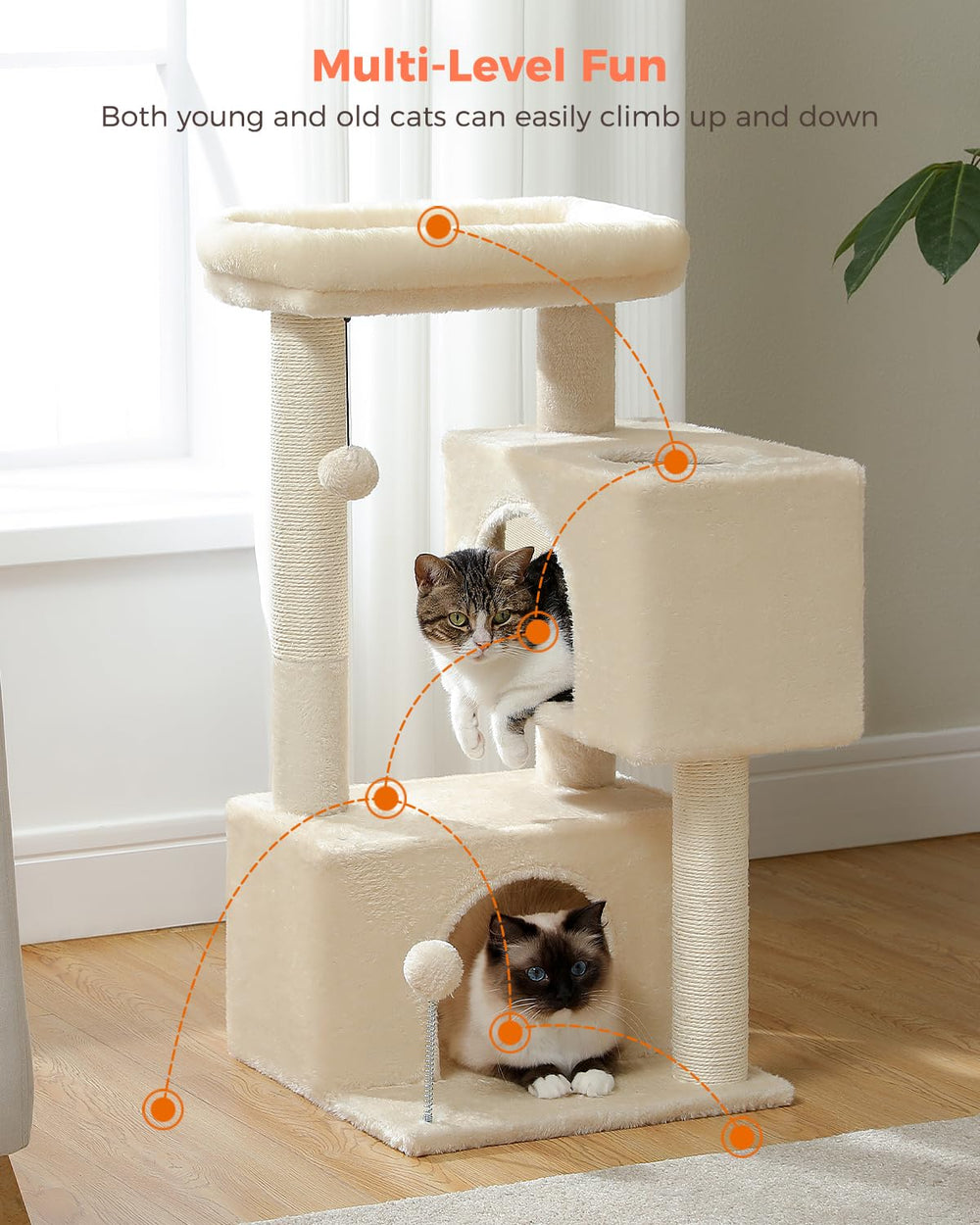 UYMI Ideal para hogares con dos o tres felinos para compartir