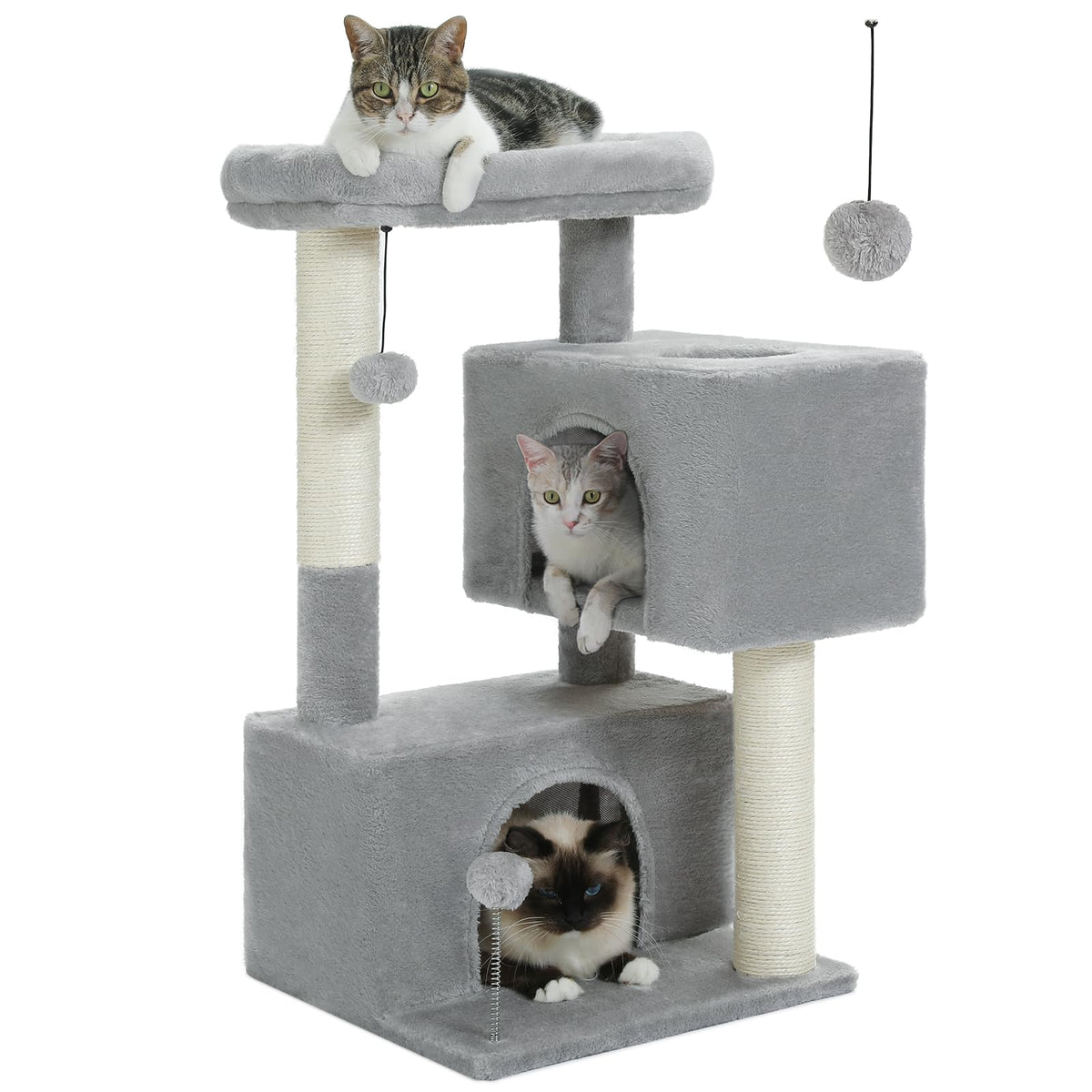 UYMI Torre Gato: condos rectangulares para descanso cómodo y seguro.