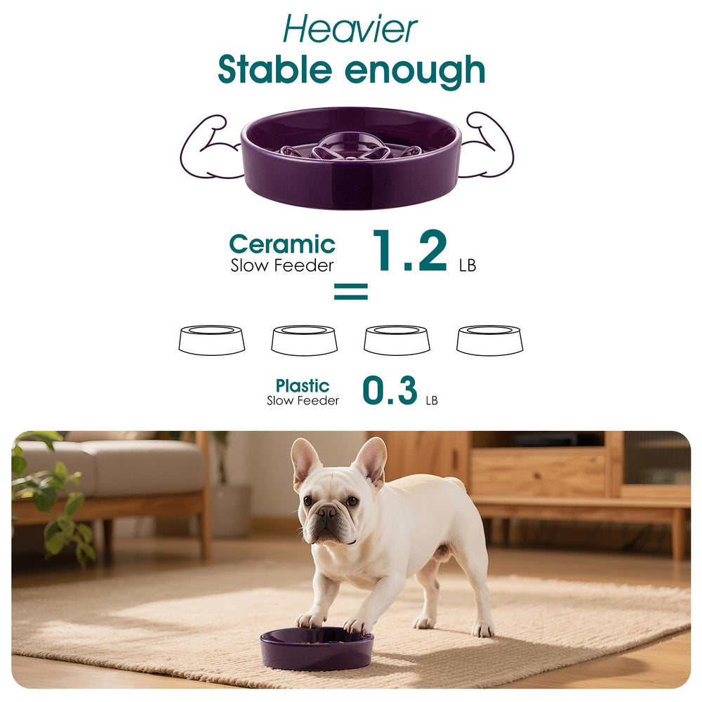 El alimentador lento vancasso es ideal para gatos y perros pequeños.