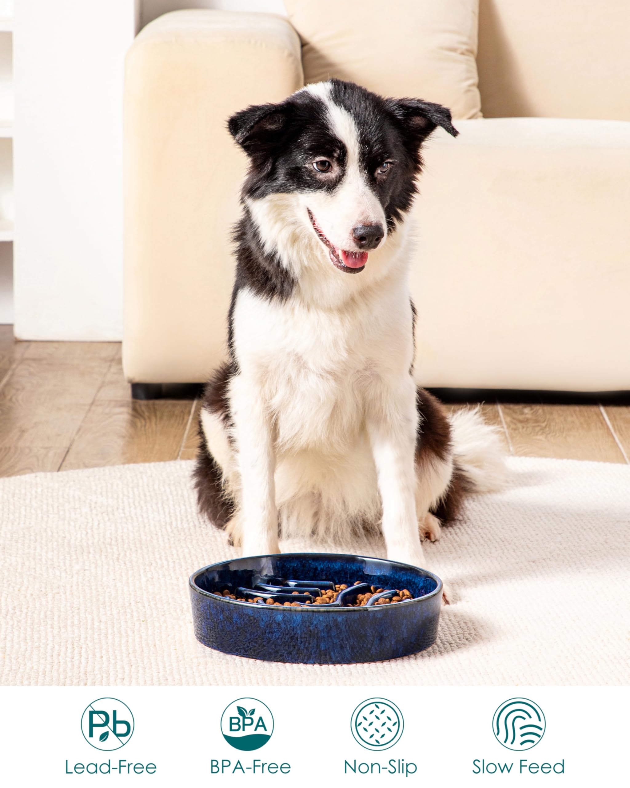 Capacidad de 3 tazas de vancasso, ideal para perros grandes.