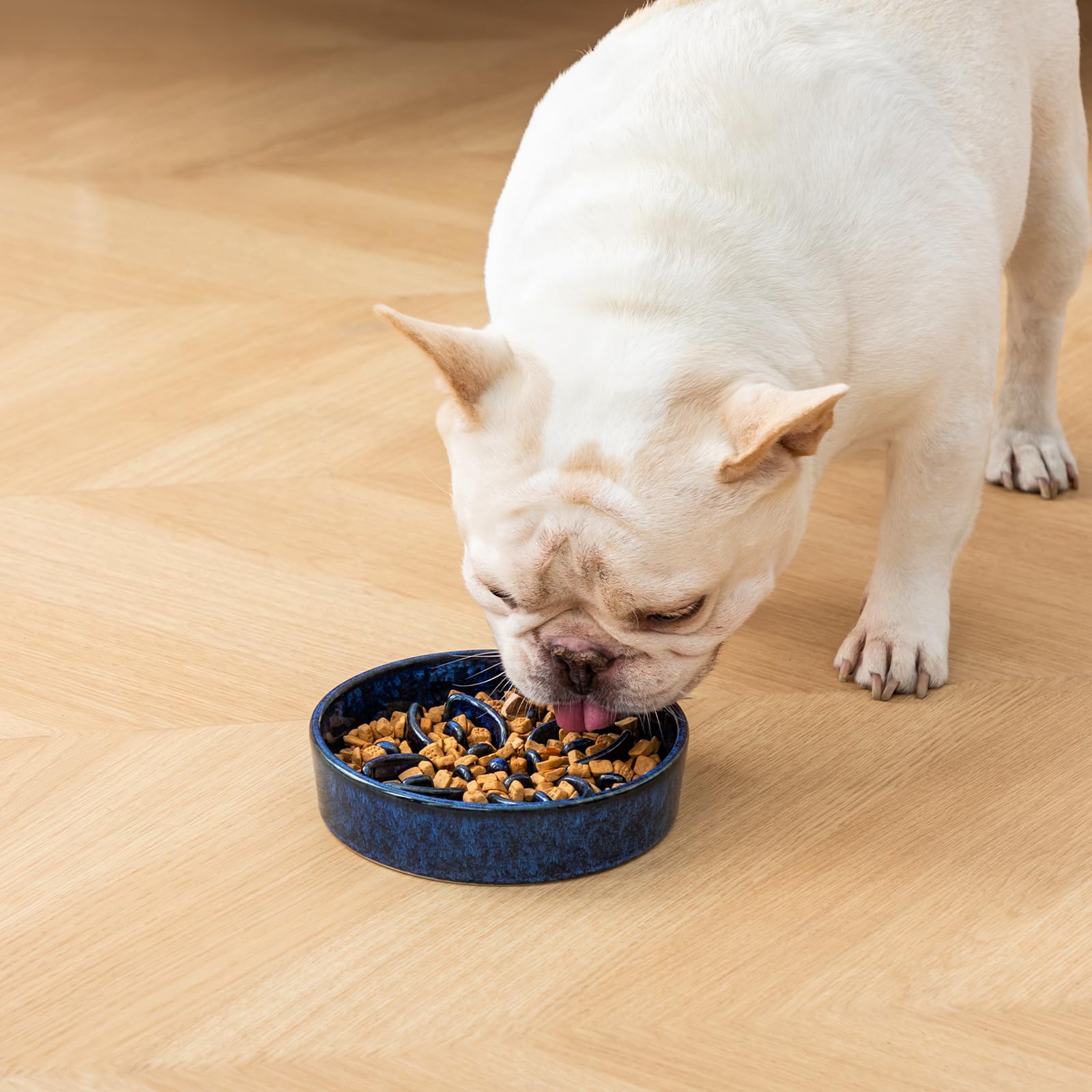Base estable anti-derrame para perros activos y comer tranquilo.