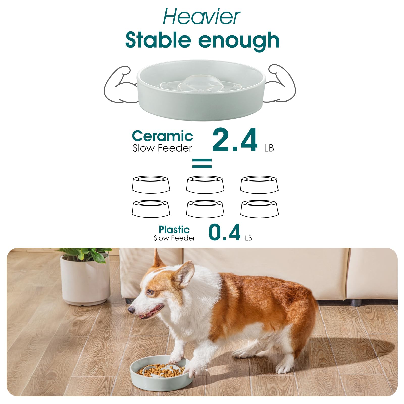 Vancasso diámetro 8-5 pulgadas, ideal para perros pequeños.