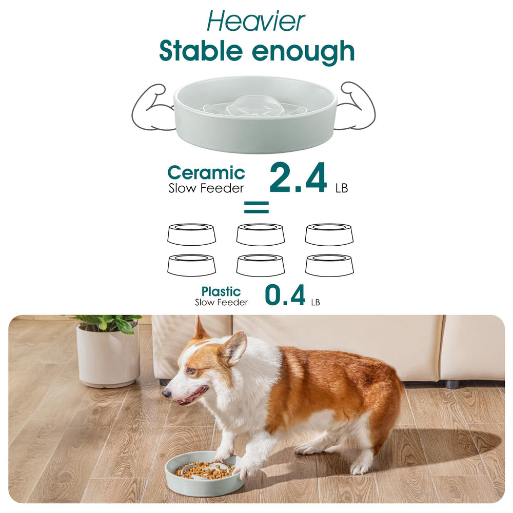 Vancasso diámetro 8-5 pulgadas, ideal para perros pequeños.