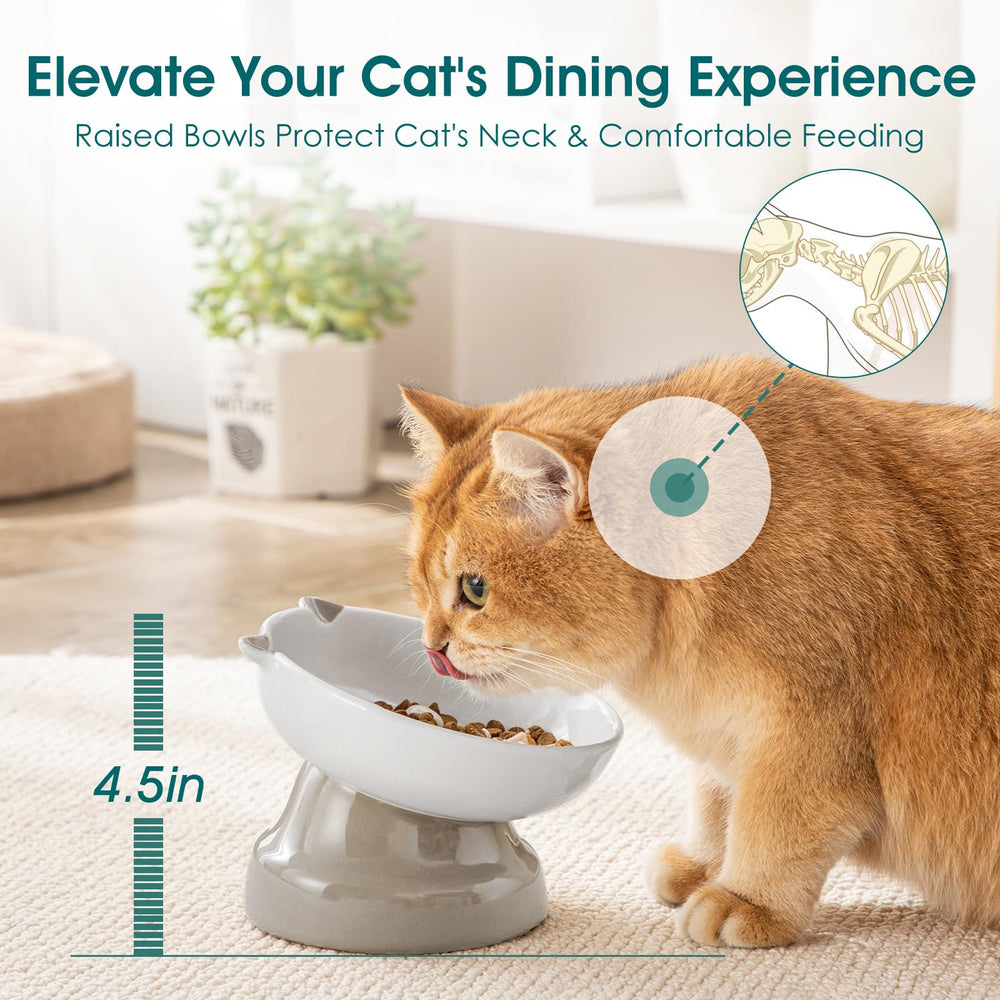 Diseño con pata de gato de Vancasso para periodo de comida más pausado
