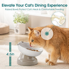 Diseño con pata de gato de Vancasso para periodo de comida más pausado