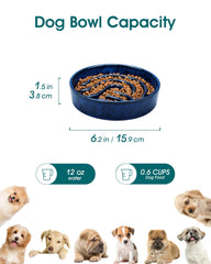 Diseño laberinto en tazón cerámico azul para estimulación mental del perro
