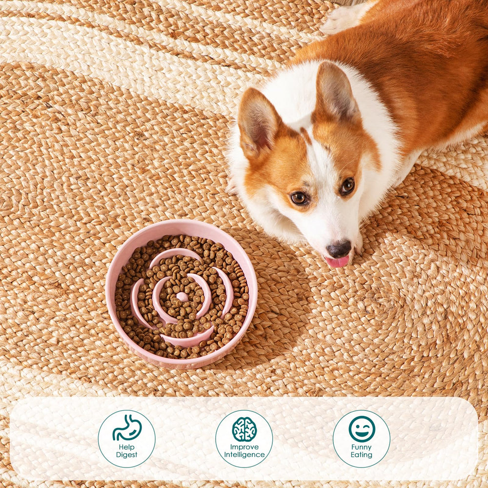 Diseño laberinto de Vancasso ralentiza la ingesta del perro rosa.