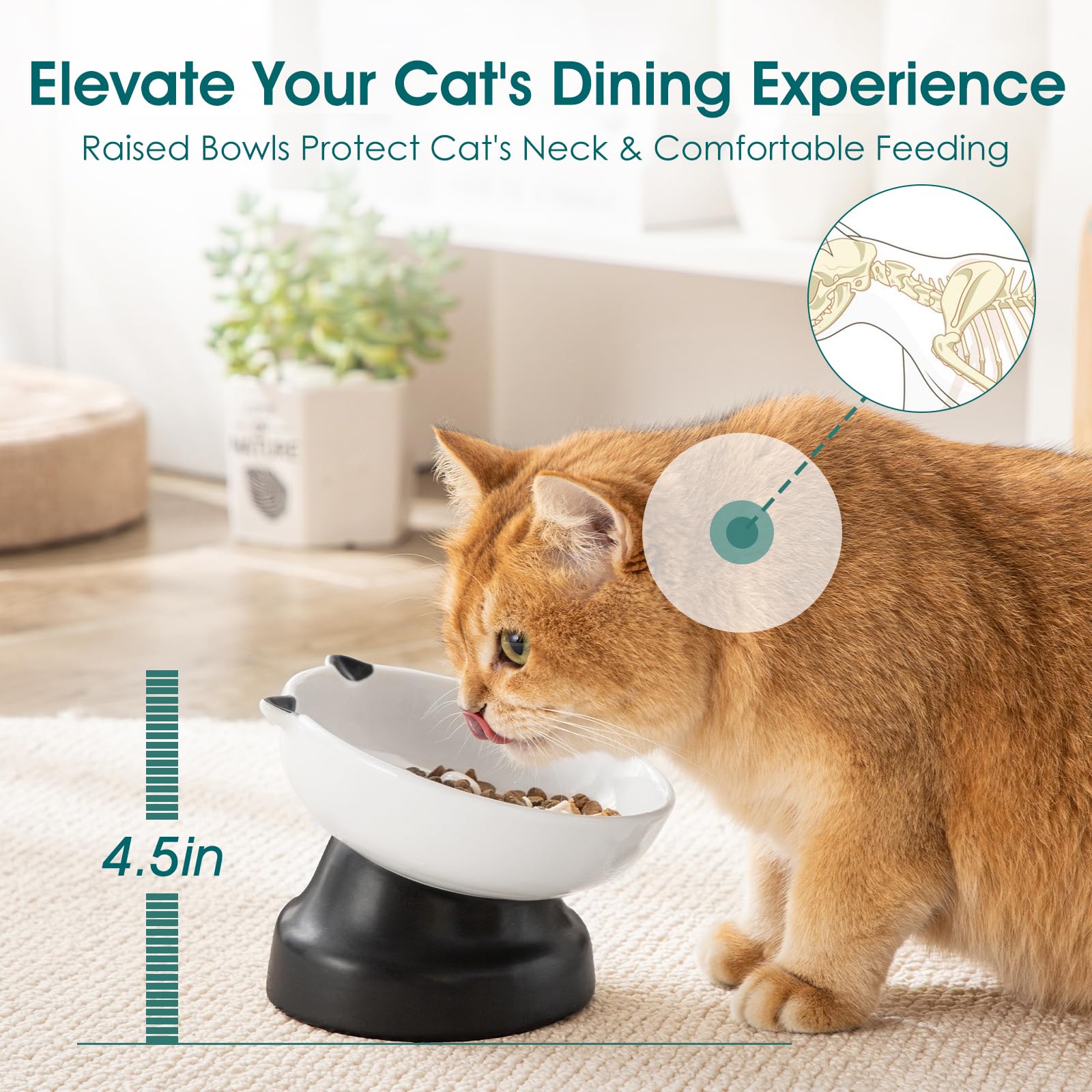 Diseño de patas de gato de Vancasso para una experiencia de forrajeo natural.