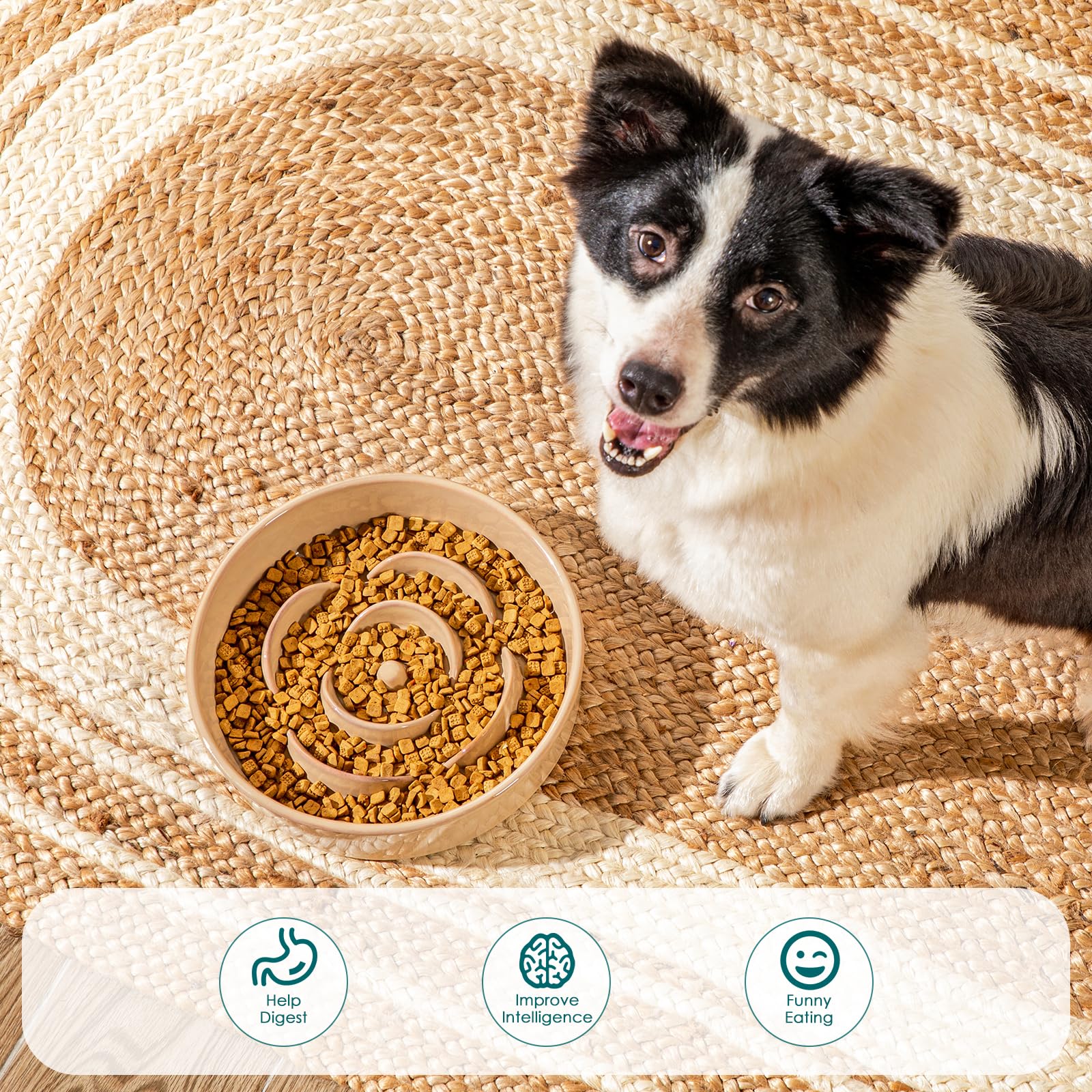 Ideal para uso diario en hogares con perros grandes.