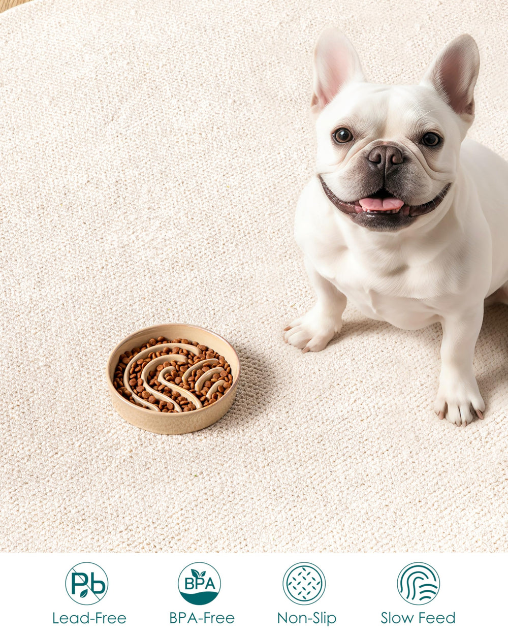 Comedero cerámico sin plomo ni cadmio de Vancasso para perros.