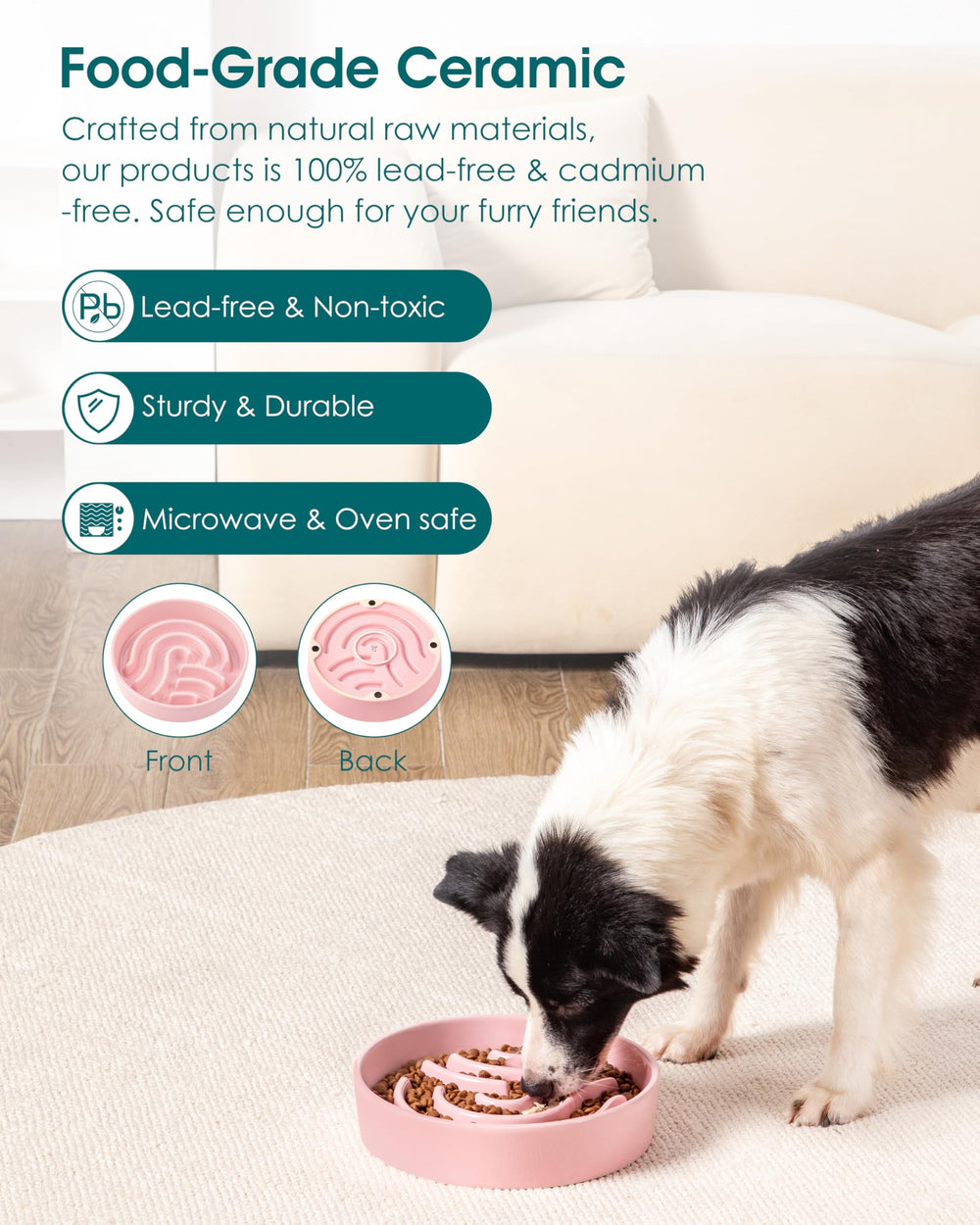 Tamaño grande de vancasso, 3 tazas, ideal para perros grandes o varias mascotas