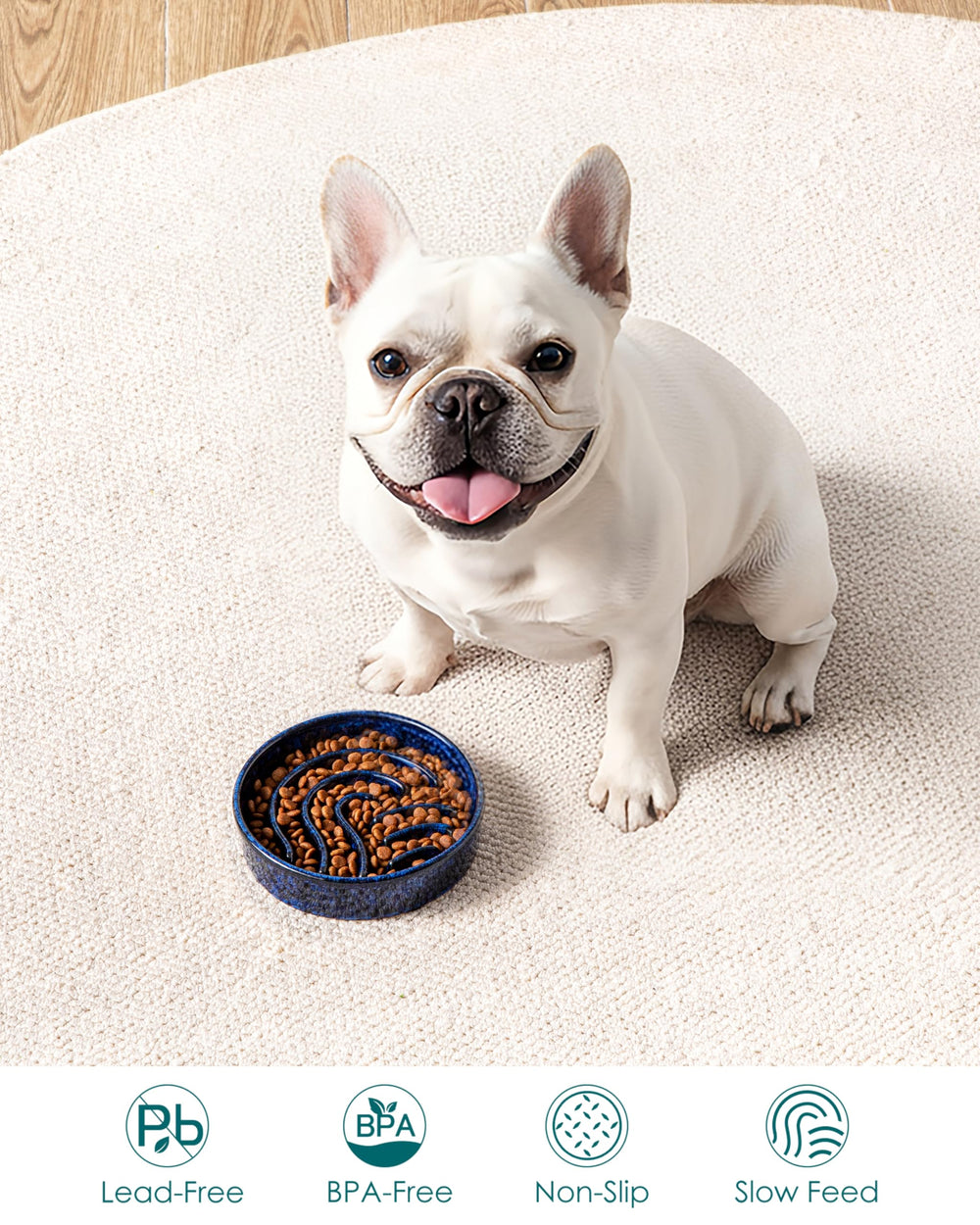 Tazón 0.6 taza para perros pequeños, tamaño ideal