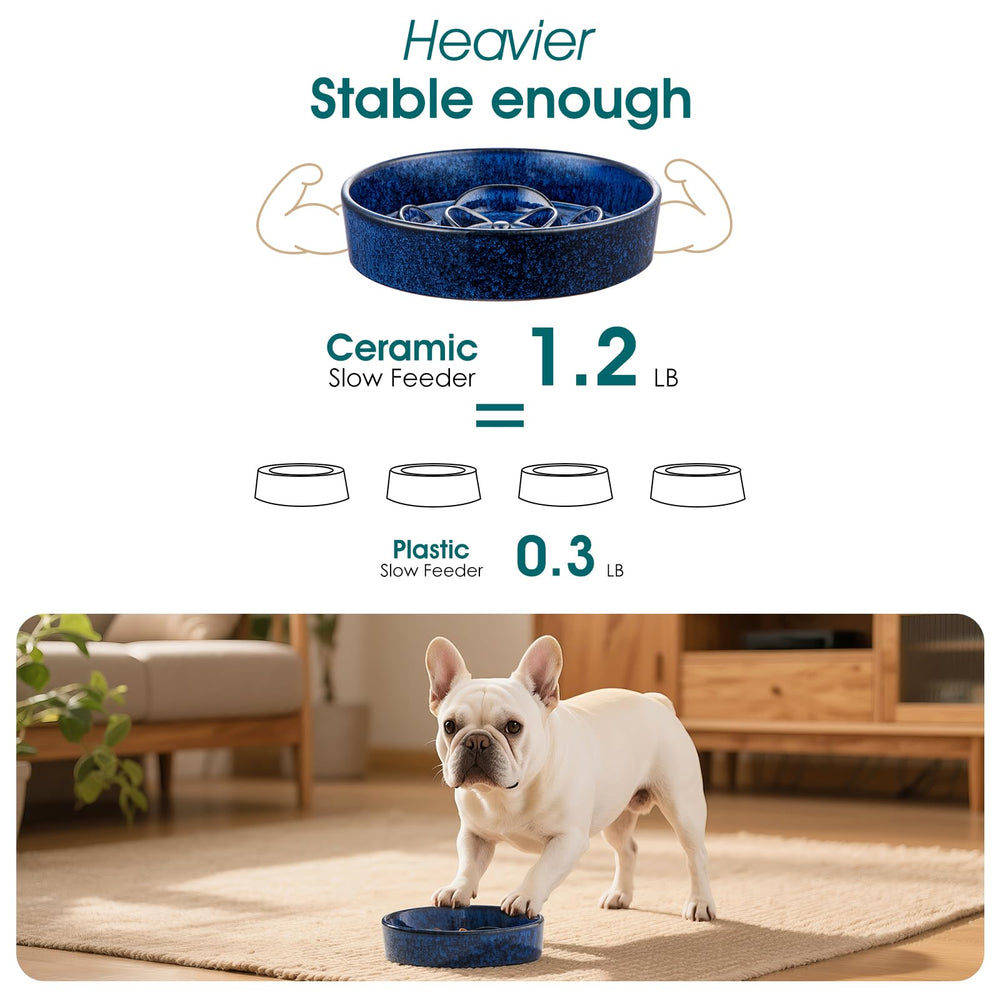 Apto para gatos y perros pequeños con tazón Vancasso.