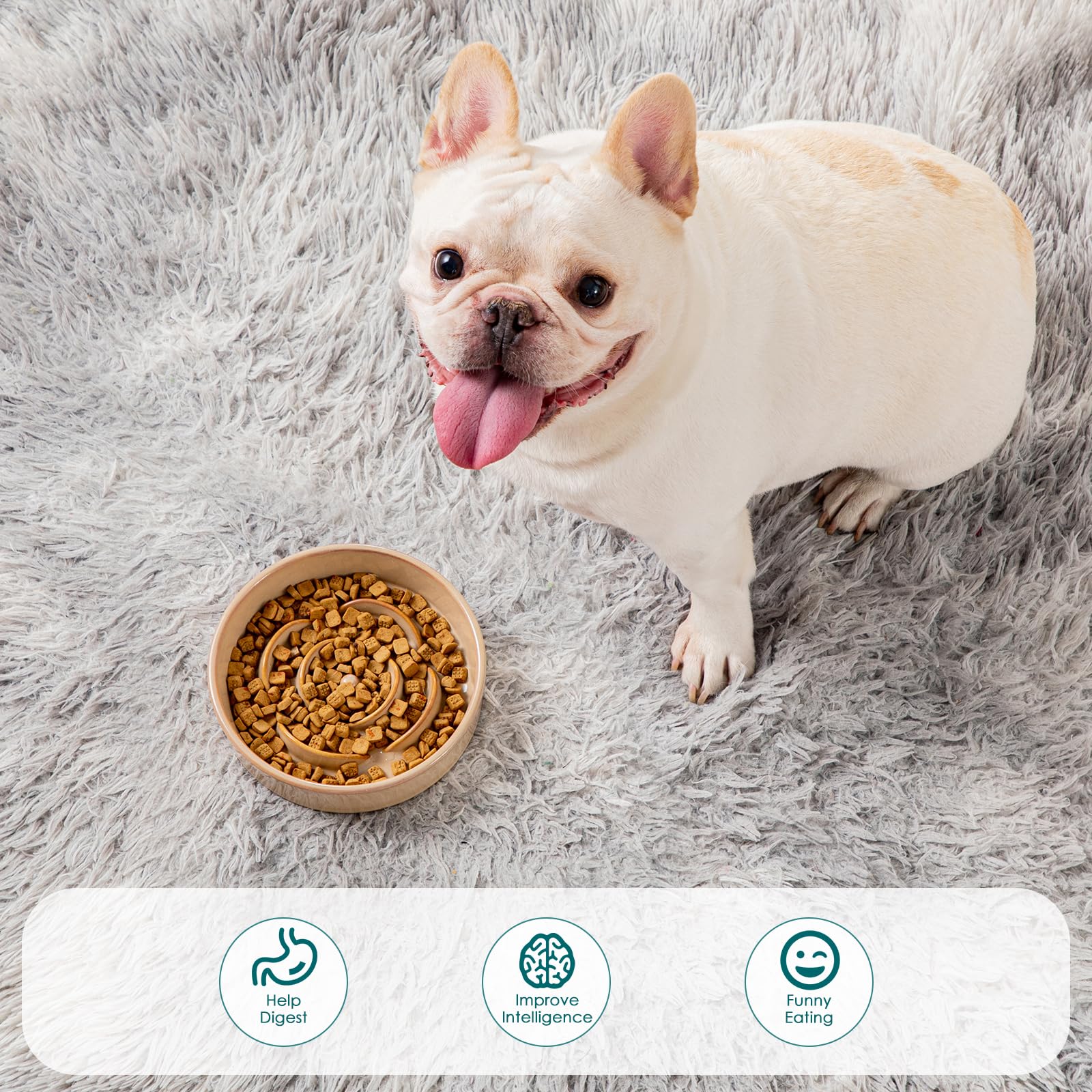 Vancasso tazón cerámico para mascotas pequeñas, adecuado para perros y gatos.