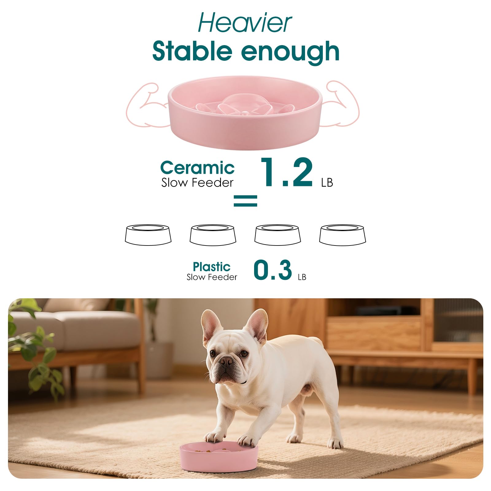 Perfecto para perros pequeños y gatos.