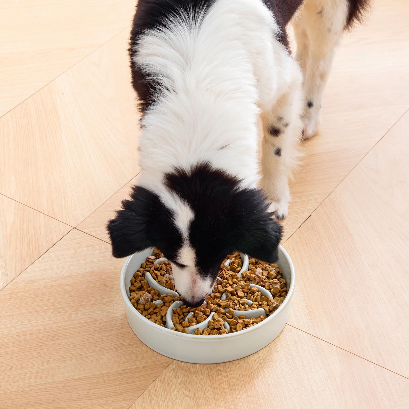 Vancasso uso diario para perros grandes, promueve comer despacio