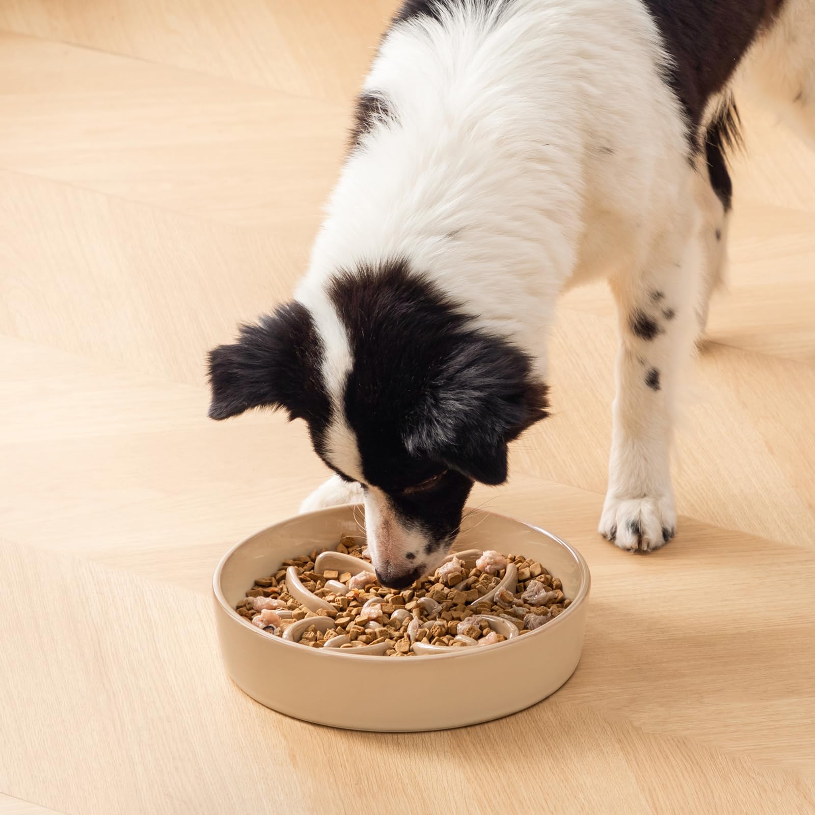 Uso recomendado para perros grandes para comidas más pausadas.