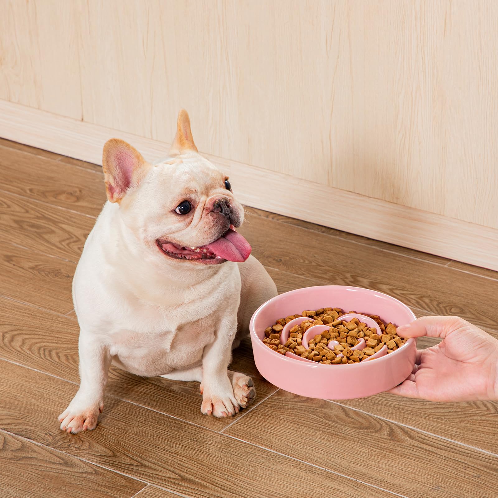 Ideal para comer despacio en mascotas curiosas.