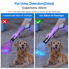 Detección de orina de mascotas con Vansky X7 Pro para alfombras y muebles