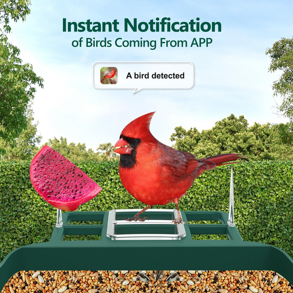 Vatjubi alimentador con camara, lente angular de 170° para descubrir más aves