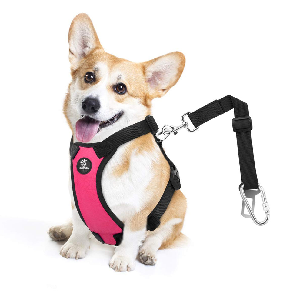 VavoPaw Cinturón de seguridad para perro en coche magenta, diseñada para mantener al compañero estable.