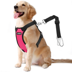 Cinturón de seguridad para perros VavoPaw en coche, seguridad XXL en color magenta.