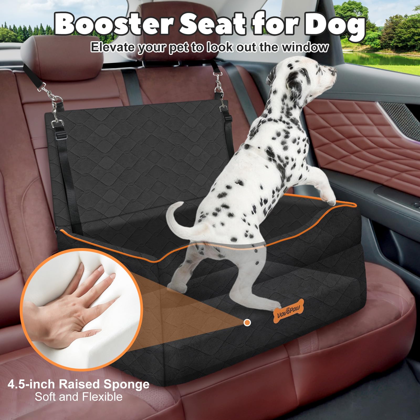 VavoPaw sistema de fijación múltiple mantiene al perro estable durante el viaje.