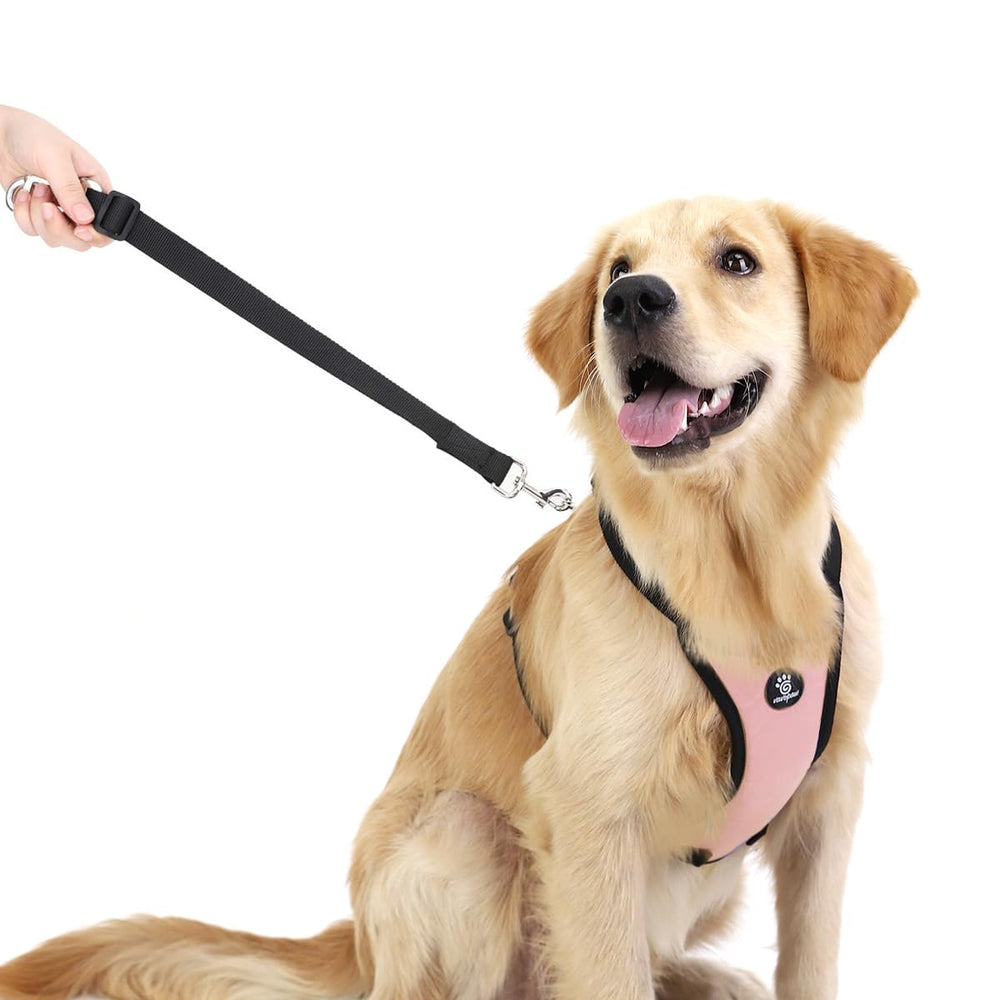 Talla M en rosa de VavoPaw, ajuste cómodo para perros medianos.
